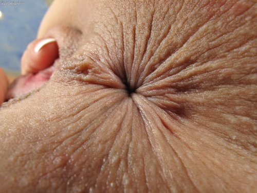 Горячая фотомодель Malena Morgan раздвигает вагину и демонстрирует анус крупным планом